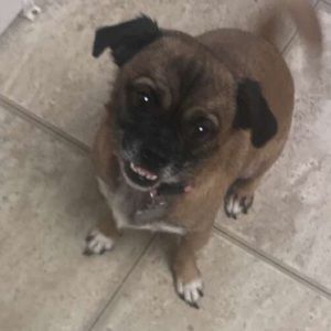 Meet your Posher, Krissy